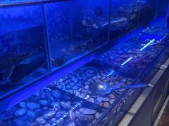 -8号公馆(金川街店)