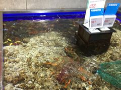 -盒马鲜生(昆城店)