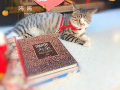 -叁秋咖啡 SANQIU COFFEE(天津河北路店)