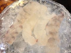 虾刺身-渔友鲜海鲜加工(海鲜大世界店)