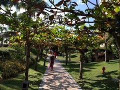 -三亚亚龙湾天域度假酒店