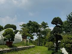 -东莞植物园