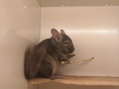 -龙猫仔乐园(惠福东路店)