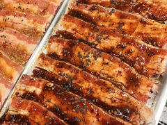 -山野的朋友露营炭火烤肉