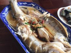 清蒸白丝鱼-乡乐园蟹庄·阳澄湖农家乐