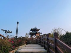 -东澳岛
