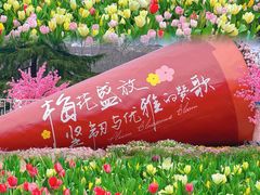 -红梅公园