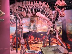 -正佳自然科学博物馆