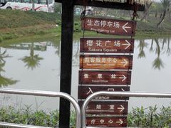 -天适樱花悠乐园