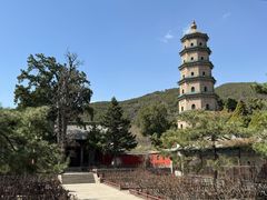 -晋祠公园