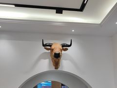 -黄牛肉馆·皖南土菜