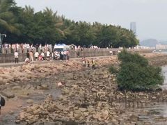 -深圳湾公园(南山区)