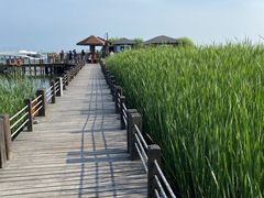 -太湖湖滨国家湿地公园-停车场