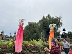 -荷兰花海