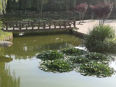 -石家庄市植物园