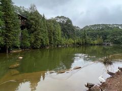 -广州市帽峰山景区