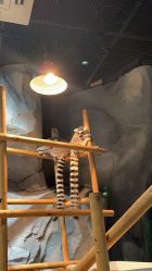 -Zoolung Zoolung动物主题公园(海信广场店)
