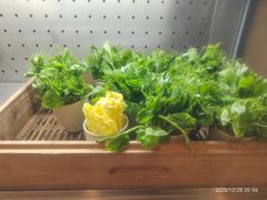 -阳光岛·海鲜盛宴(银泰中心in99店)
