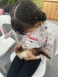 -Moni星球萌宠·小马宝莉·灵蛇·高端高阶全萌宠互动体验俱乐部(红豆国际广场店)