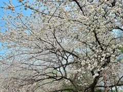 -吉林大学(南岭校区)