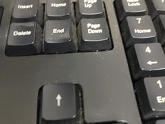 -北京市海淀外国语实验学校