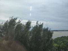 -宝安西湾红树林湿地公园