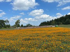 -云漫湖生态度假公园