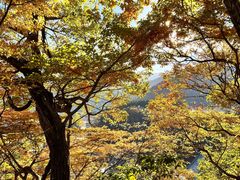 -白川乡与五箇山的合掌构造村落