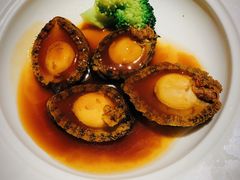 -壹号港湾