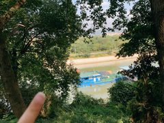 -上海市保健医疗中心