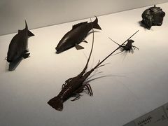 -东京国立博物馆
