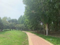 -五环公园