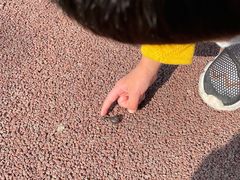 -桤木河湿地公园