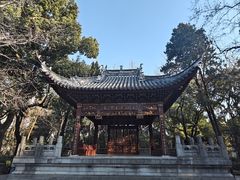 -汇龙潭