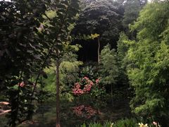 -云溪植物园