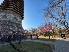 -玲珑塔公园
