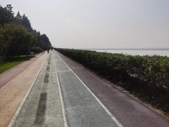 -贡湖湾湿地公园