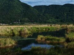 -腾冲北海湿地