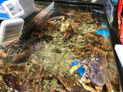 -盒马鲜生(皇庭广场店)