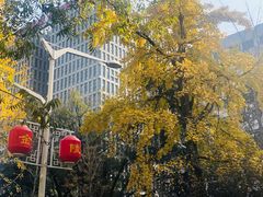 -南京金陵饭店