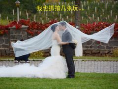 -北京张裕爱斐堡酒庄