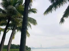 -福田红树林生态公园