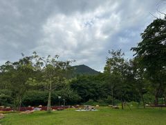 -黄埔油麻山森林公园