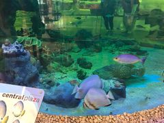 -尚泰清迈机场购物中心