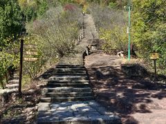 -天台山赤城山景区