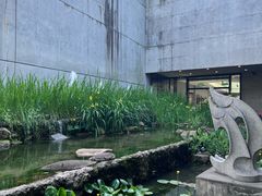 -中国湿地博物馆