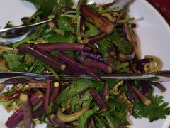 香麻野蕨菜-九十九顶毡房(阜石路店)