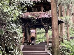 -青城山