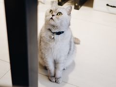 -Oasis绿洲银饰珍珠手作diy(壹方城店)
