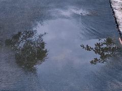 -田心森林公园